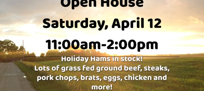 Zweber Farms Hens are laying Eggs Again